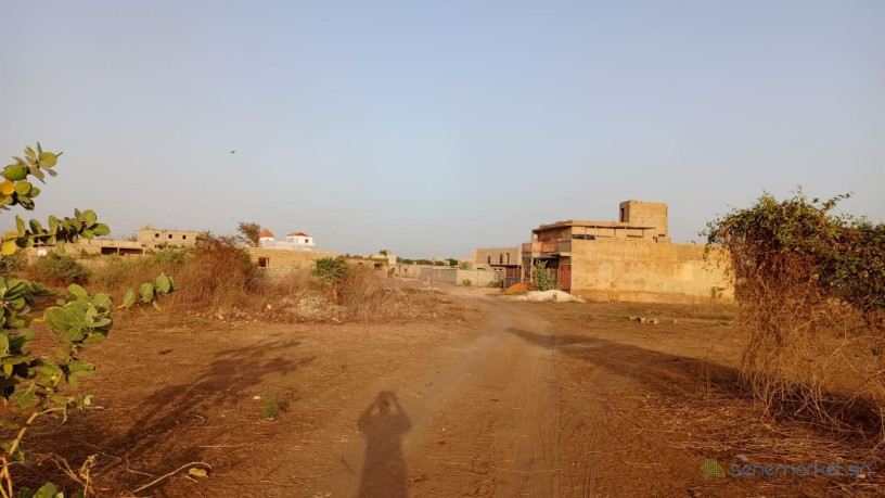 terrain-de-290-metres-carres-a-vendre-a-gandigal-senegal-big-3