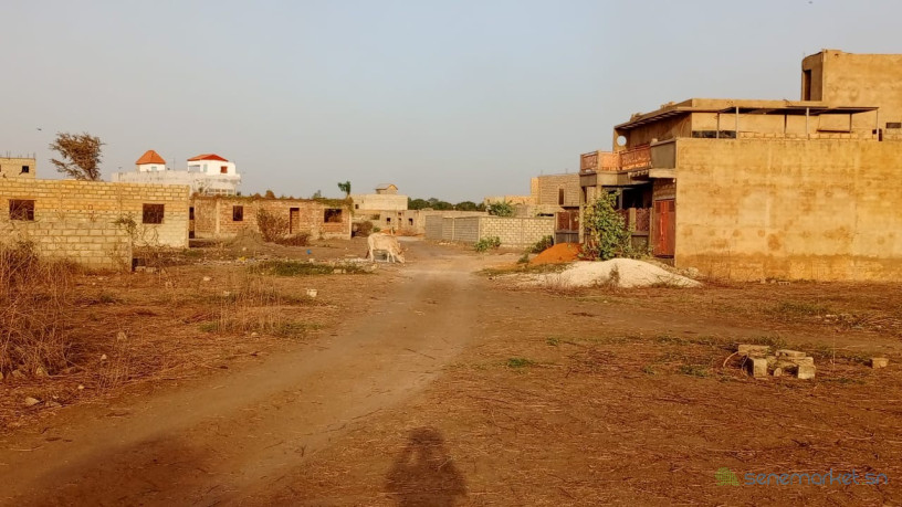 terrain-de-290-metres-carres-a-vendre-a-gandigal-senegal-big-2
