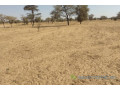 terrain-de-399-hectares-vers-kebemer-small-1