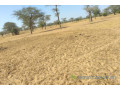 terrain-de-399-hectares-vers-kebemer-small-0