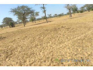 Terrain de 3,99 hectares vers Kébémer