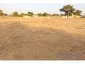 terrain-de-3183-m2-vers-tataguine-small-2