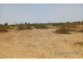 terrain-de-418-hectares-vers-kebemer-small-1