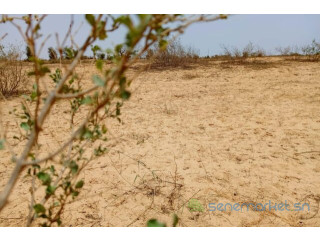 Terrain de 4,18 hectares vers Kébémer