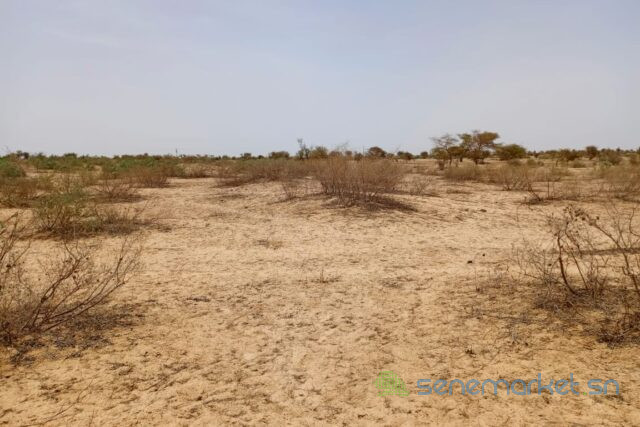 terrain-de-418-hectares-vers-kebemer-big-2