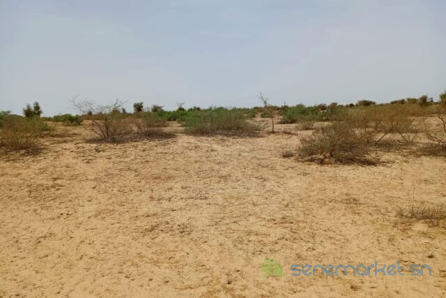 terrain-de-418-hectares-vers-kebemer-big-1