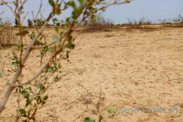 terrain-de-418-hectares-vers-kebemer-big-0