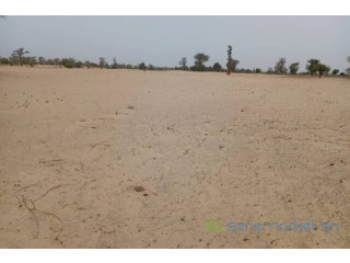 Terrain de 4,18 hectares vers Thienaba
