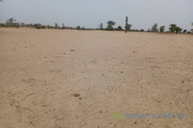 terrain-de-418-hectares-vers-thienaba-big-0