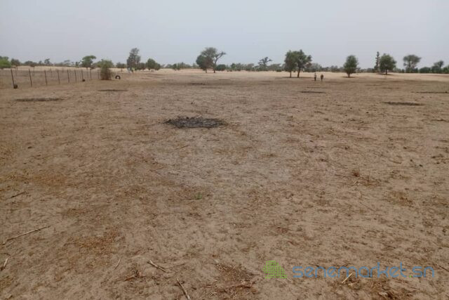 terrain-de-418-hectares-vers-thienaba-big-1