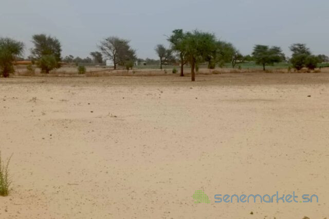 terrain-de-418-hectares-vers-thienaba-big-2