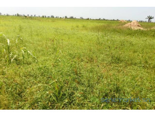 Terrain de 4,5 hectares vers Nguéniène