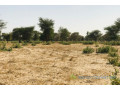 terrain-de-455-hectares-vers-thienaba-small-1