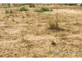 terrain-de-455-hectares-vers-thienaba-small-2