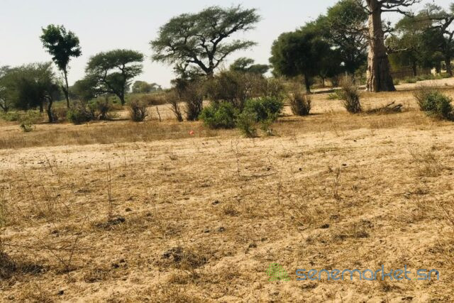 terrain-de-455-hectares-vers-thienaba-big-0