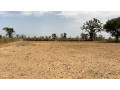 terrain-de-1hectare-et-demi-a-louly-senegal-small-1