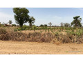 terrain-de-1hectare-et-demi-a-louly-senegal-small-3