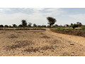 terrain-de-1hectare-et-demi-a-louly-senegal-small-2