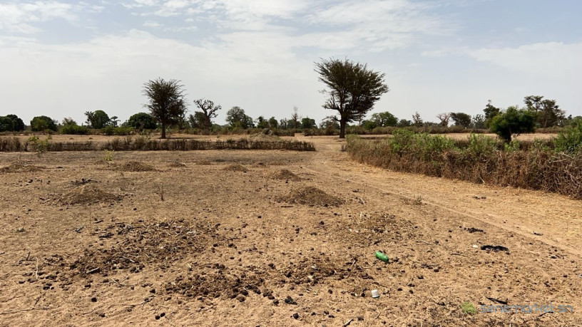 terrain-de-1hectare-et-demi-a-louly-senegal-big-2