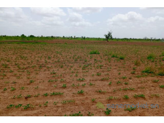 Terrain de 4,92 hectares vers Guinguinéo
