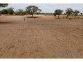 terrain-de-5-hectares-vers-touba-toul-small-2