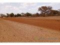 terrain-de-5-hectares-vers-touba-toul-small-1