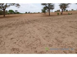 Terrain de 5 hectares vers Touba Toul