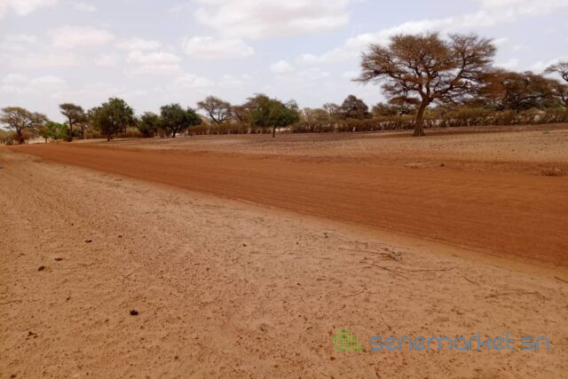 terrain-de-5-hectares-vers-touba-toul-big-1