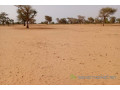 terrain-de-501-hectares-vers-touba-toul-small-0