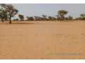 terrain-de-501-hectares-vers-touba-toul-small-2