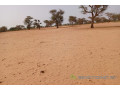 terrain-de-501-hectares-vers-touba-toul-small-1