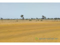 terrain-de-504-hectares-vers-sindia-small-0