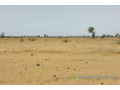 terrain-de-504-hectares-vers-sindia-small-2