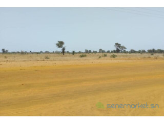 Terrain de 5,04 hectares vers Sindia
