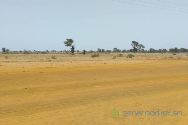 terrain-de-504-hectares-vers-sindia-big-0