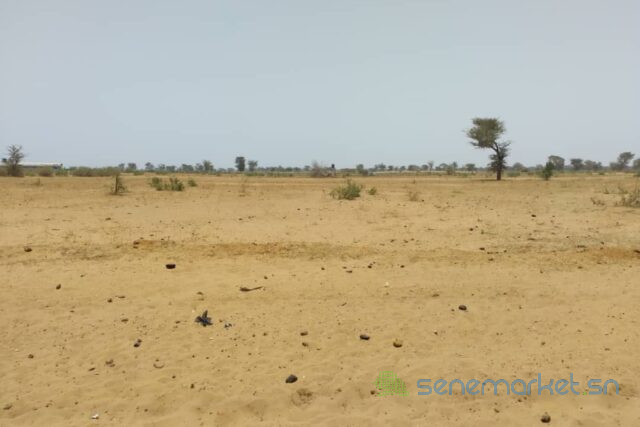 terrain-de-504-hectares-vers-sindia-big-2