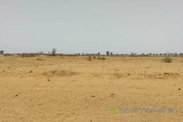 terrain-de-504-hectares-vers-sindia-big-1