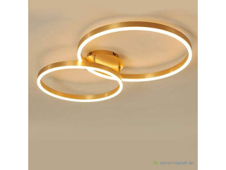 Lustre plafond 2 cercles