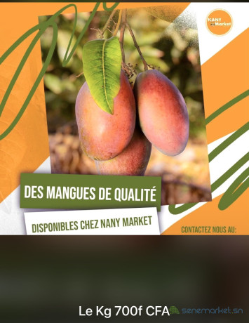 mangue-kent-big-3