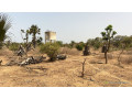 terrain-de-323-metres-carres-a-vendre-a-saly-senegal-small-0