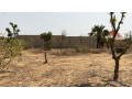 terrain-de-323-metres-carres-a-vendre-a-saly-senegal-small-2