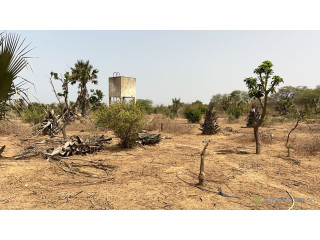 Terrain de 323 mètres carrés à vendre à Saly Sénégal