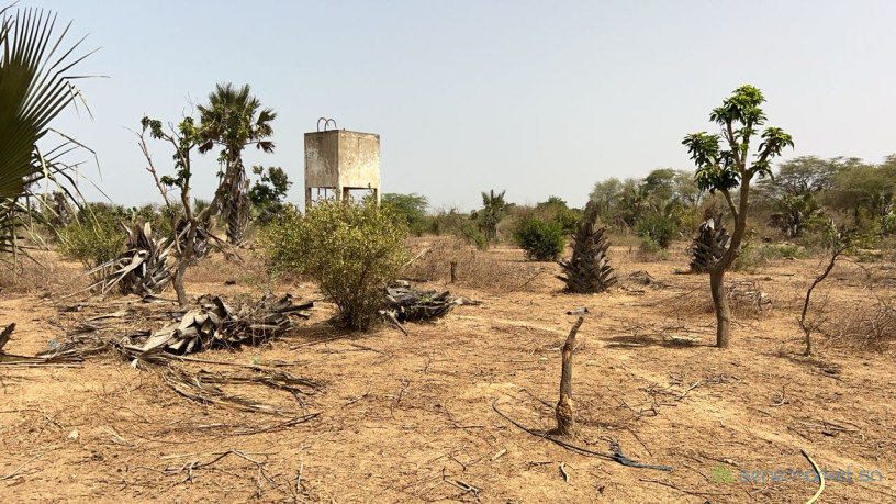 terrain-de-323-metres-carres-a-vendre-a-saly-senegal-big-0