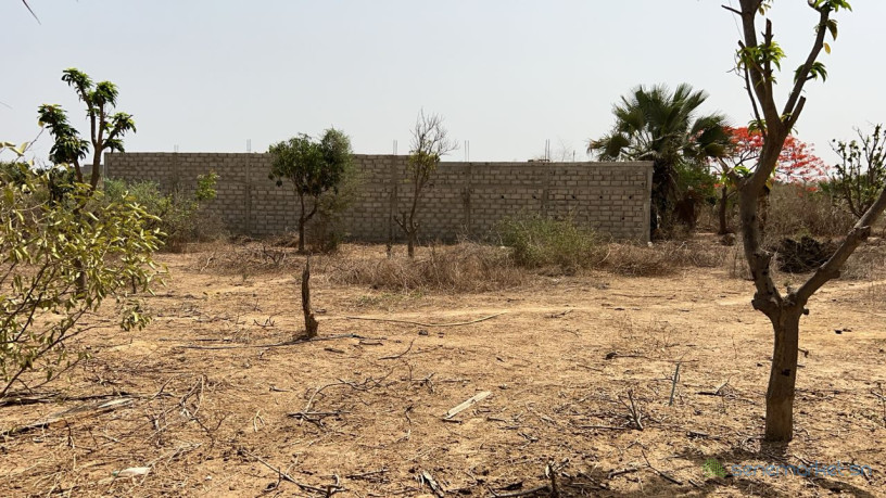 terrain-de-323-metres-carres-a-vendre-a-saly-senegal-big-2
