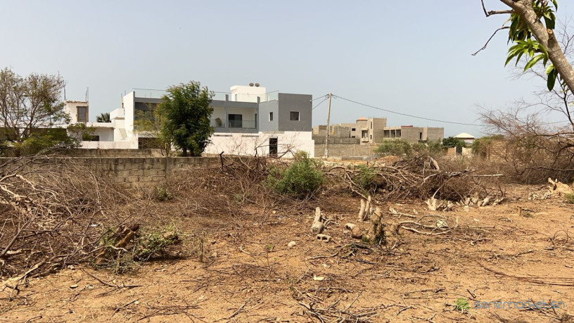terrain-de-323-metres-carres-a-vendre-a-saly-senegal-big-1