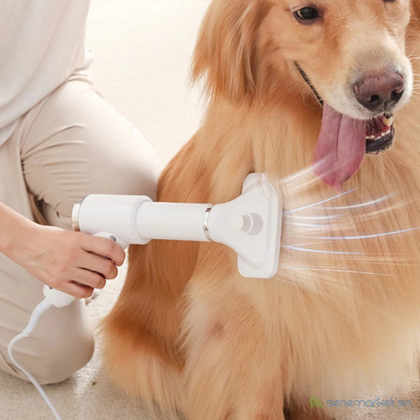 toilettage-peigne-brosse-souffleur-pour-animaux-de-compagnie-big-0