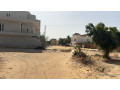terrain-de-300-metres-carres-a-vendre-a-saly-mbambara-small-0