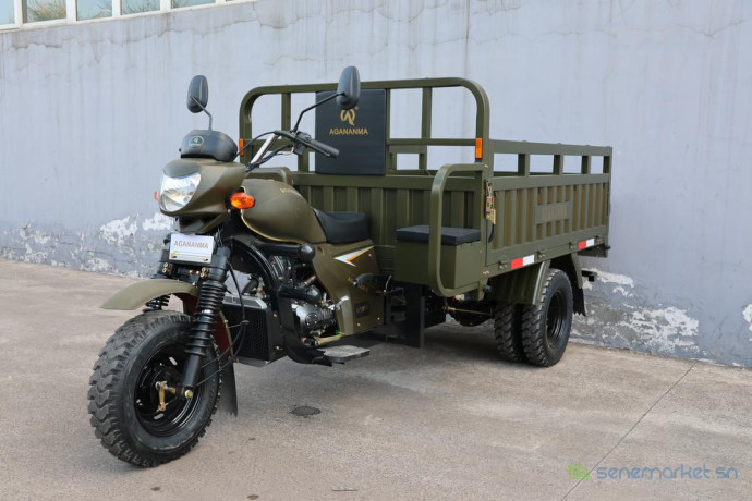moto-tricycles-big-1