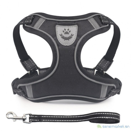 ensemble-harnais-et-laisse-pour-petit-chien-noir-big-0