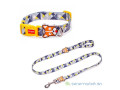 ensemble-de-collier-et-laisse-pour-petit-chien-small-0